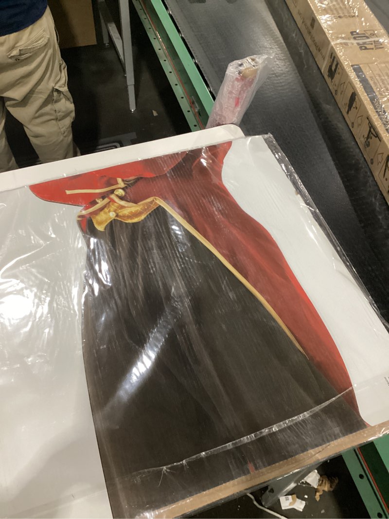 Condition photo showing New/Like New for Cardboard People Circus Ring Master Life Size Cardboard Cutout Standup