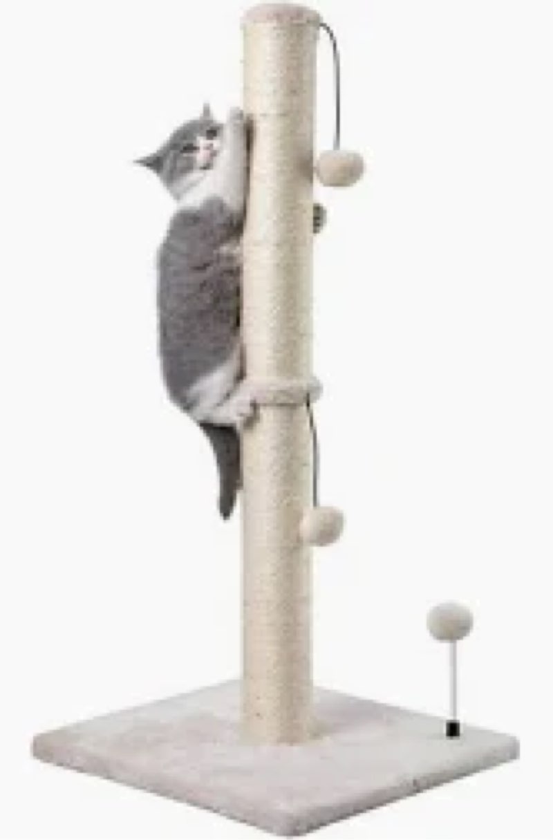 cat scratching post premium basics kitten scratcher sisal scratch posts with hanging ball