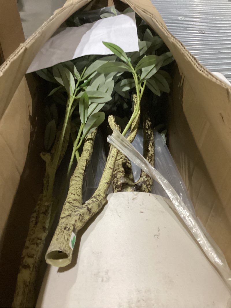 Condition photo showing Good Condition for Similar to stock photo 7ft Olive Trees Artificial Indoor with Planter- Tall Faux Olive Tree 7 feet (84\") with Pot, Fake Plants Natural Olive Branches and Realistic Leaves Olive Silk Tree for Home Office Decor