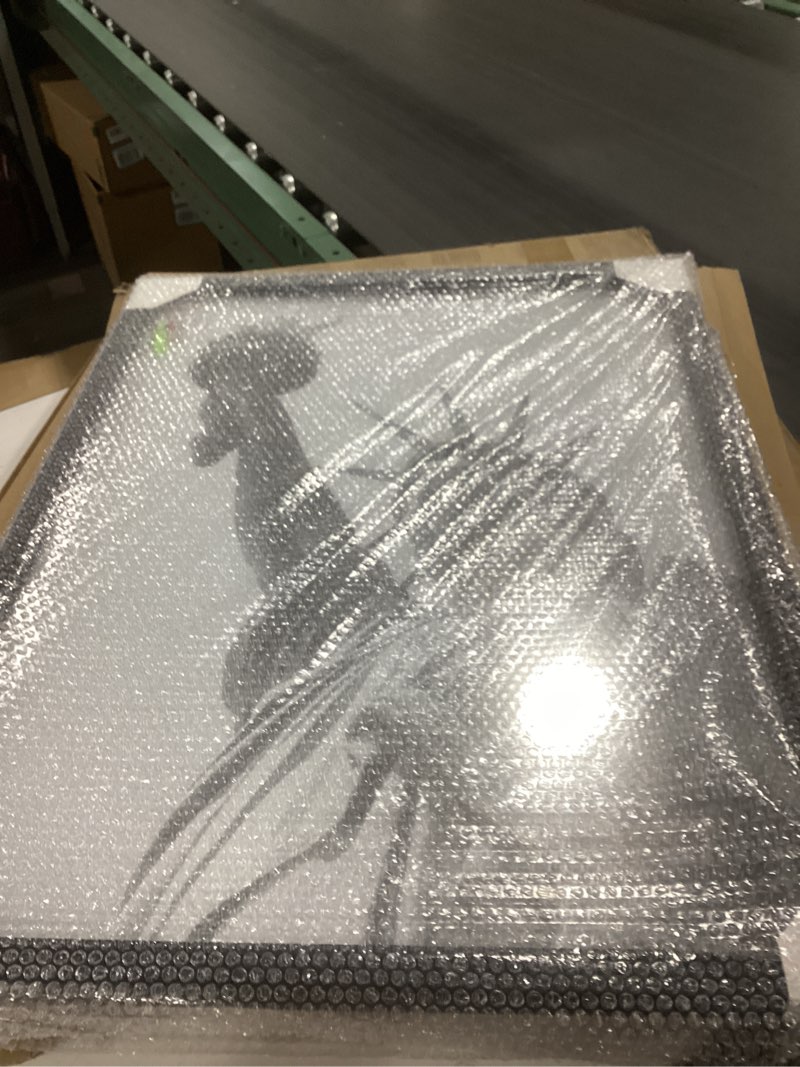 Condition photo showing Good Condition for ONE WALL Tempered Glass 18x24 Poster Frame, Black Wood Photo Picture Frame for Wall Vertically or Horizontally Display - Mounting Hardware Included 1 Pack