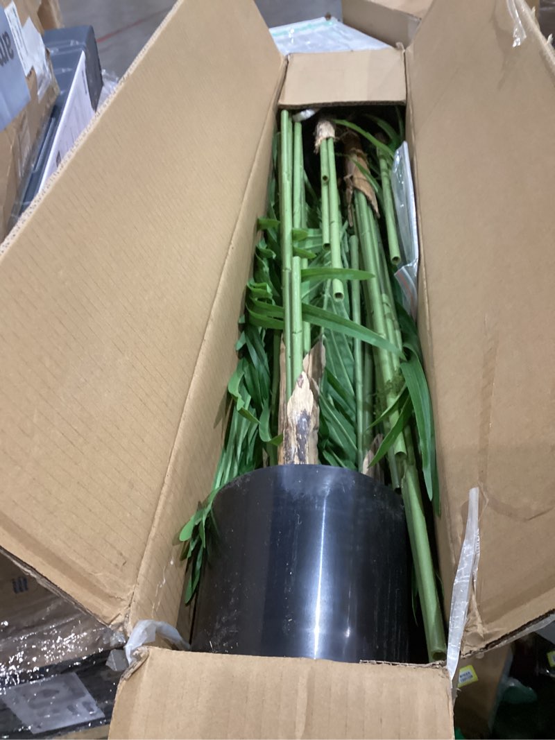 Condition photo showing As Is for 5ft Artificial Palm Tree Indoor Plant Tall Fake Tropical Paradise Palm Tree in Pot with Real Bark Design Faux Areca Palm Tree for Home Office Living Room Bedroom Farmhouse Modern Decor 2pcs 2 5ft