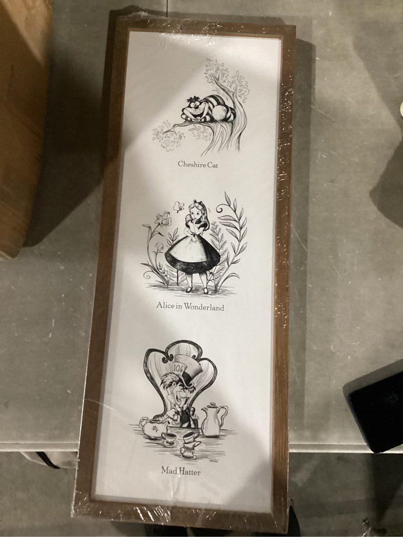 Condition photo showing Good Condition for disney alice in wonderland storybook framed wood wall decor - black and white alice in wonderland wall art for home decorating