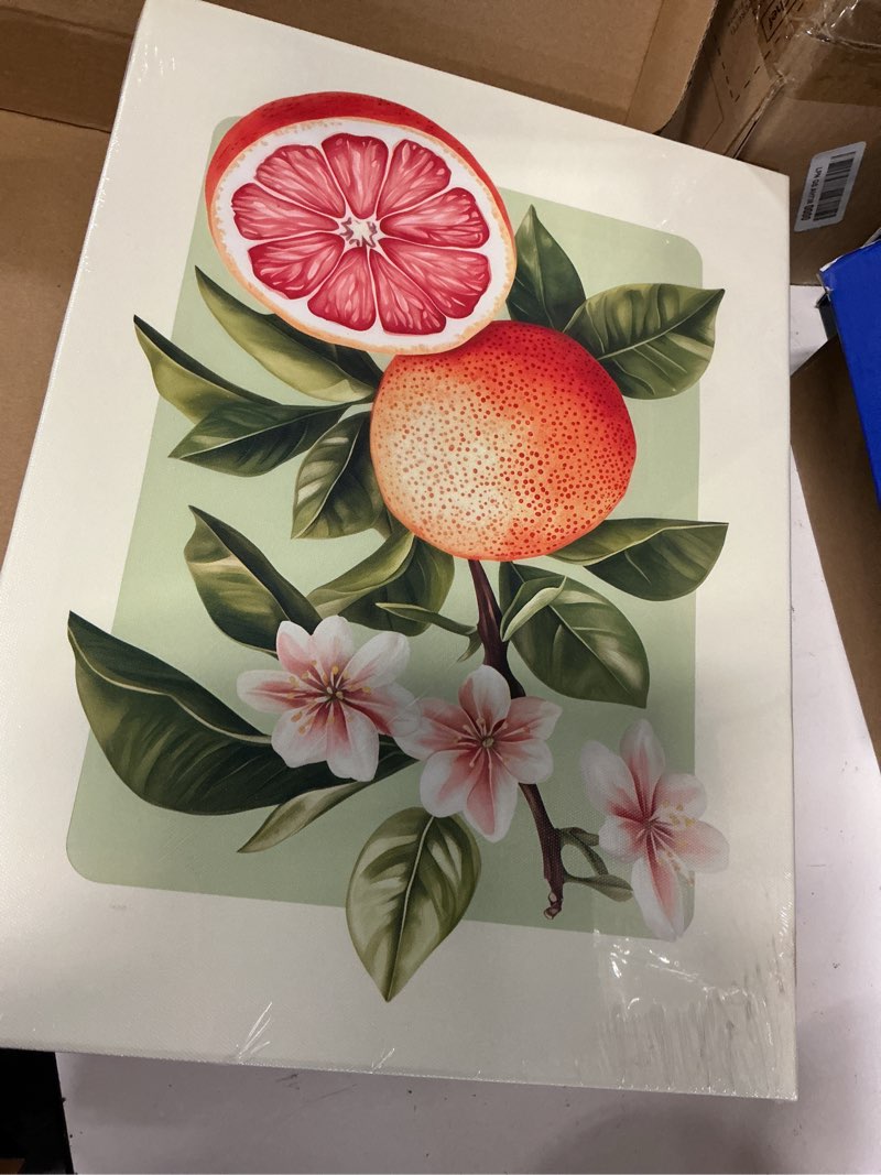 Condition photo showing New/Like New for lhhjdio 3 piece vintage fruit canvas wall art trendy kitchen wall art boho orange lemon grapefruit pictures wall decor citrus botanical art prints for dining room living room 12"x16" fruit-4 framed 12x16in