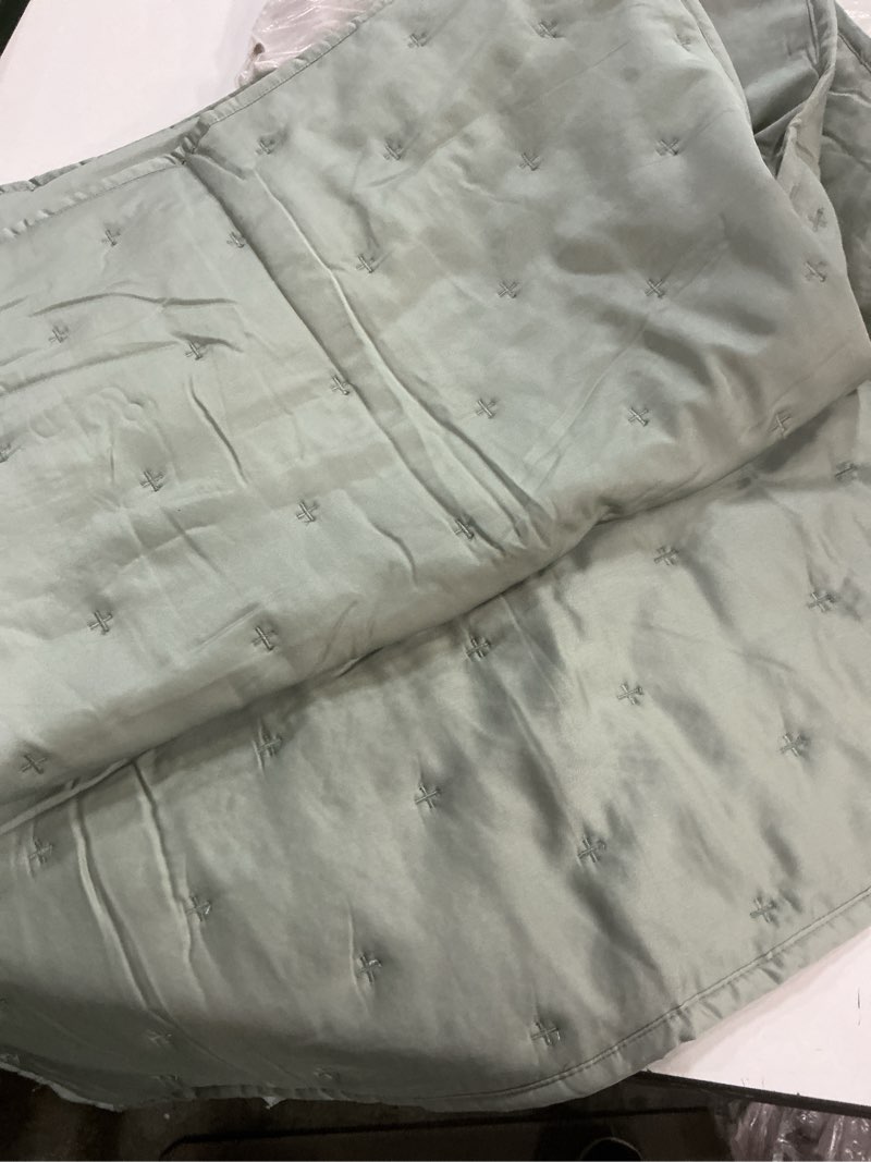 Condition photo showing Good Condition for quince, european bamboo quilted standard shams set of 2/eucalyptus