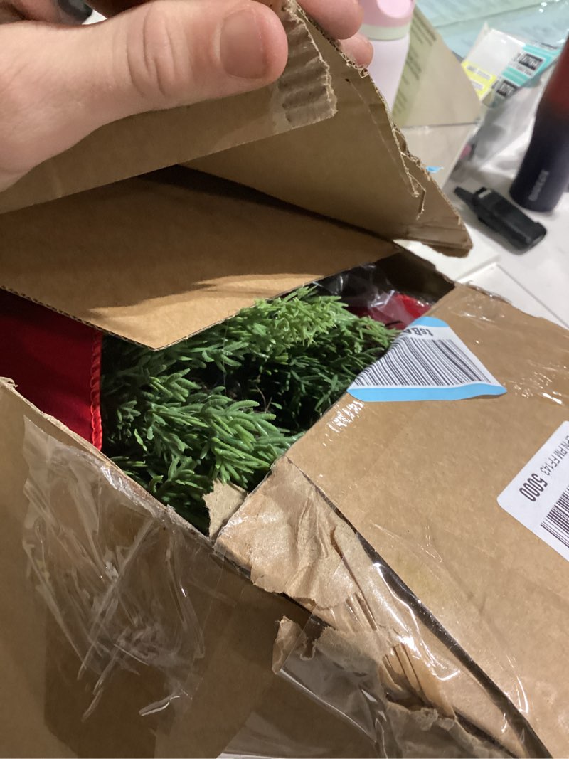 Condition photo showing As Is for Janinka 4 Pcs Christmas Wreath for Windows 11.8 Inch Christmas Window Decorations Cabinet Wreaths with Red Bow Greenery Artificial Hanging Garlands for Fireplaces Window Home (Cedar)