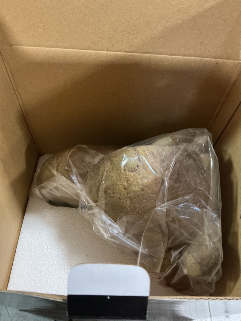 Condition photo showing New/Like New for Exo Terra Reptile Terrarium Rock Outcrops - Small