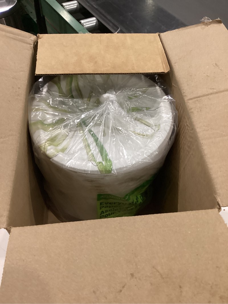 Condition photo showing Good Condition for amazon basics everyday paper plates, 8.62 inch, disposable, 200 count, packaging may vary