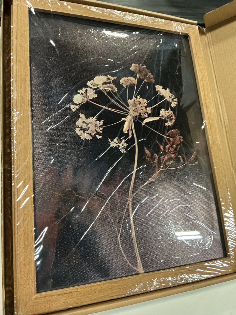 Condition photo showing New/Like New for 2pcs framed vintage wall art prints, retro moody floral botanical canvas painting farmhouse decor, dark classical flower prints canvas for bathroom, bedroom, living room, gallery 12x16 retro moody floral botanical 12x16 inches