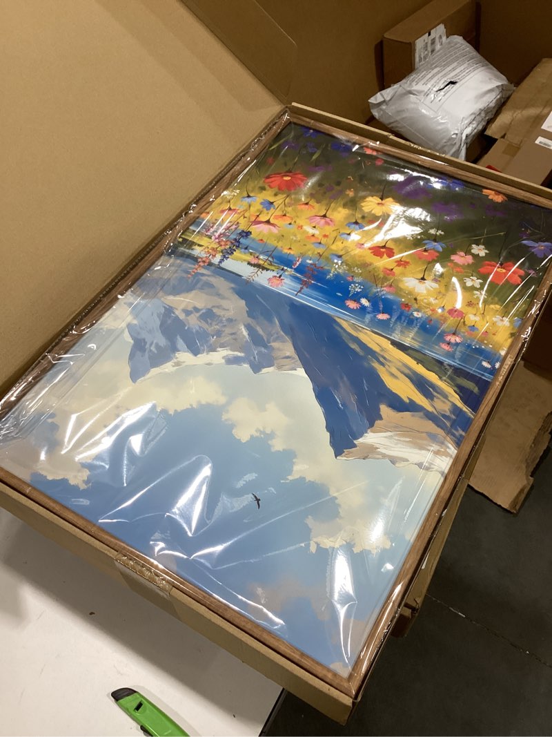 Condition photo showing New/Like New for HOURIA Boho Vibrant Watercolor Wildflower & Snowy Mountain Framed Canvas Wall Art Set,Colorful Floral Landscape Decor,Modern Natural Field Scenery Artwork for Living Room,Bedroom,Farmhouse-16 x24 x3 Colorful Wildflower Mountain Wall Art 16"L x 24"W