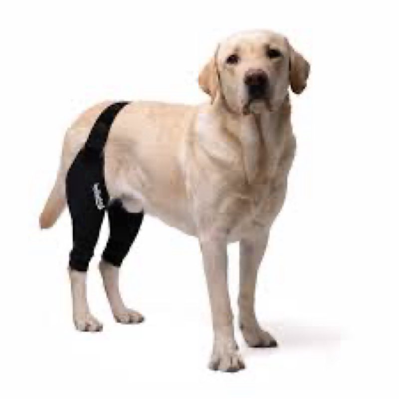 Dog Knee Brace for Torn ACL & Post Surgery Recovery - Hind Leg Support with Patented Double Strap Sy