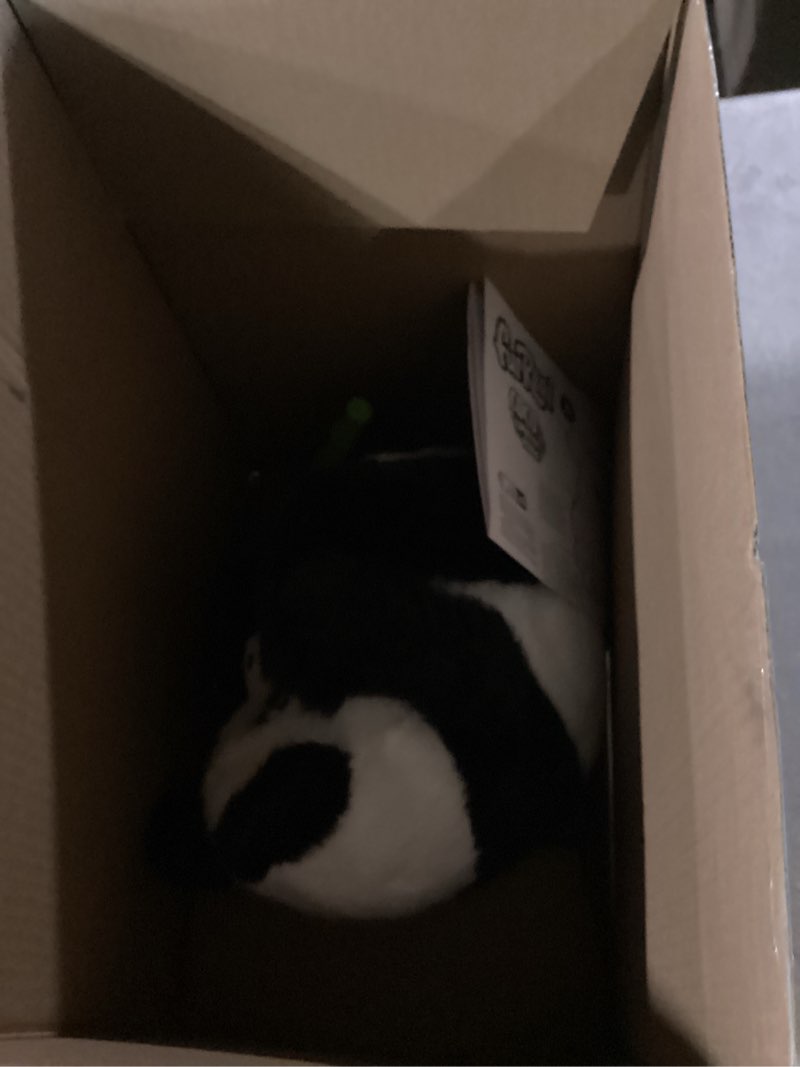 Condition photo showing As Is for furreal coco the tumbling panda, 10.5 inch interactive panda toy, for boys and girls, ages 4 and up