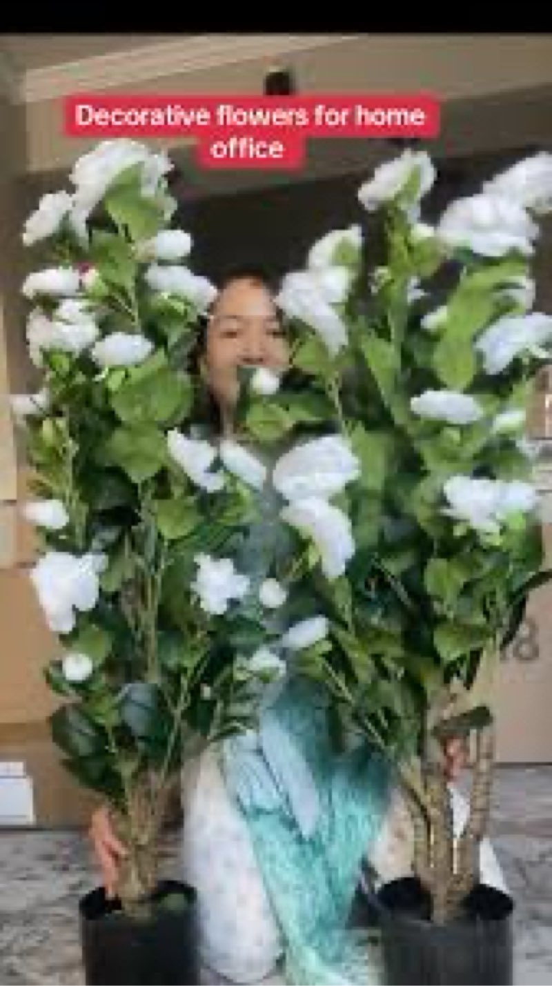 Best Rated and Reviewed in Artificial Floral Arrangements(1000+) Uses item details. Price when purchased online  