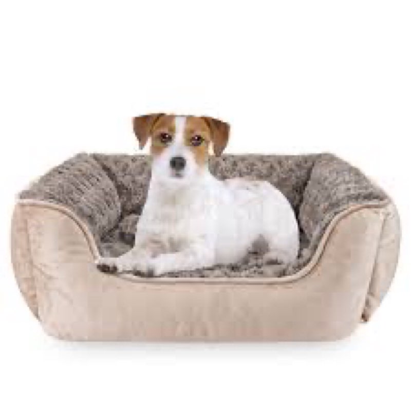 JOEJOY Small Dog Bed for Small Dogs, Rectangle Washable Orthopedic Dog Bed with Removable Zipper Cov
