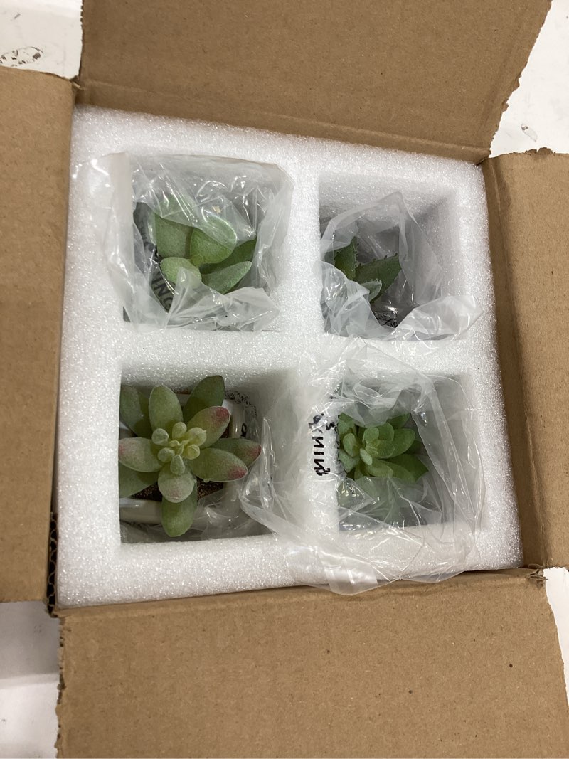 Condition photo showing New/Like New for mygift set of 4 mini assorted green decorative artificial succulent plants in square white glazed ceramic planter pots assortment #3