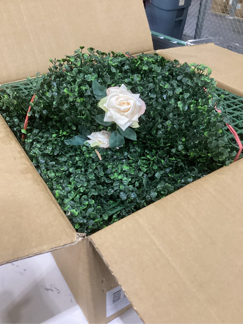 Condition photo showing Good Condition for Artificial Green Wall Panels with Detachable Silk White Roses – 12 Pack (20"x20") – Lush Faux Boxwood Hedge for Indoor & Outdoor Decor
