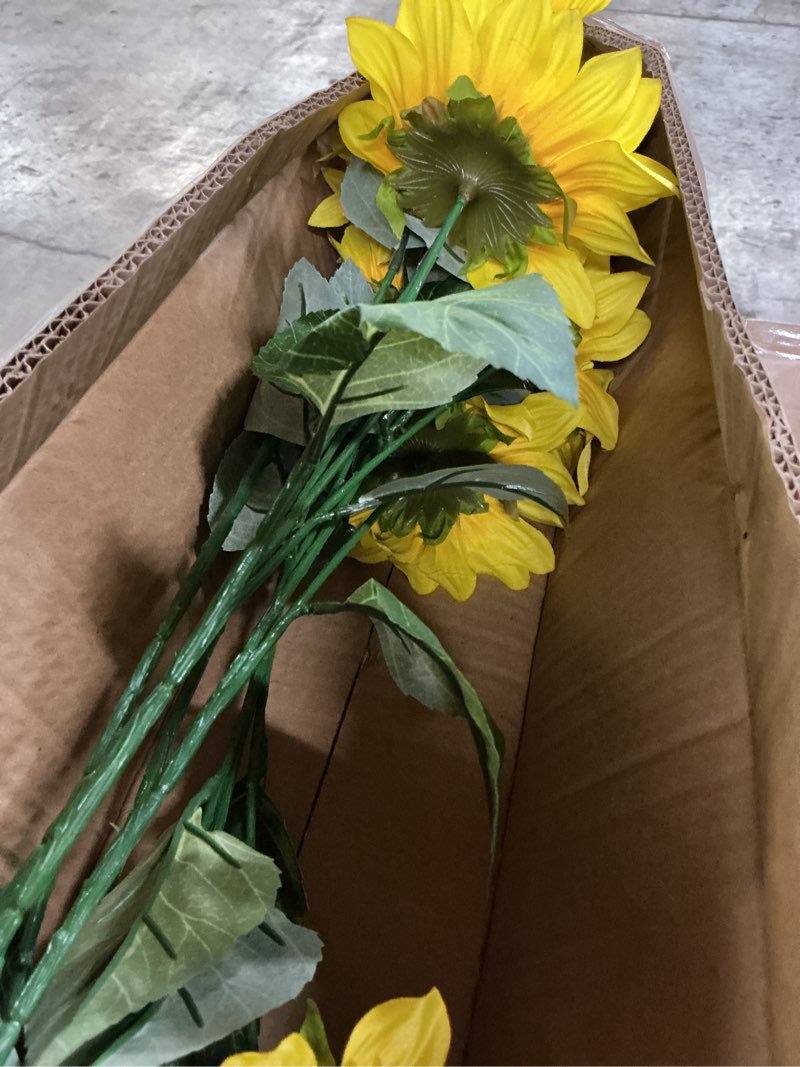 Condition photo showing New/Like New for mainstays 28 in yellow artificial sunflower stems, set of 6, indoor use.
