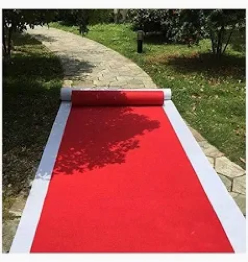 30 ft Aisle Runners Wedding Accessories 2mm Aisle Runner Carpet Rugs for Step and Repeat Display, Ceremony Parties and Events Indoor or Outdoor Decoration Rectangular Red 