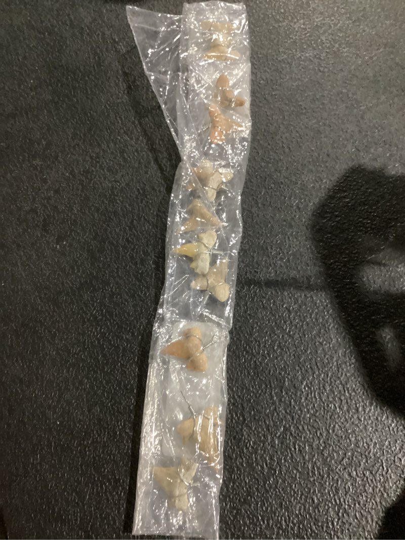 Condition photo showing New/Like New for kalifano authentic fossilized prehistoric mini wire wrapped shark teeth (9 pack) from morocco - lot shark tooth for fossil collections and bulk jewelry making (information card included)