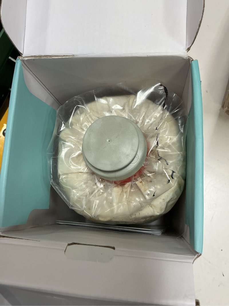 Condition photo showing As Is for usa organic 4lbs lion's mane mushroom growing kit, non-gmo, double-side mushroom grow kit, harvest gourmet mushrooms in 10 days, top gardening gift, holiday gift, handmade in maine white