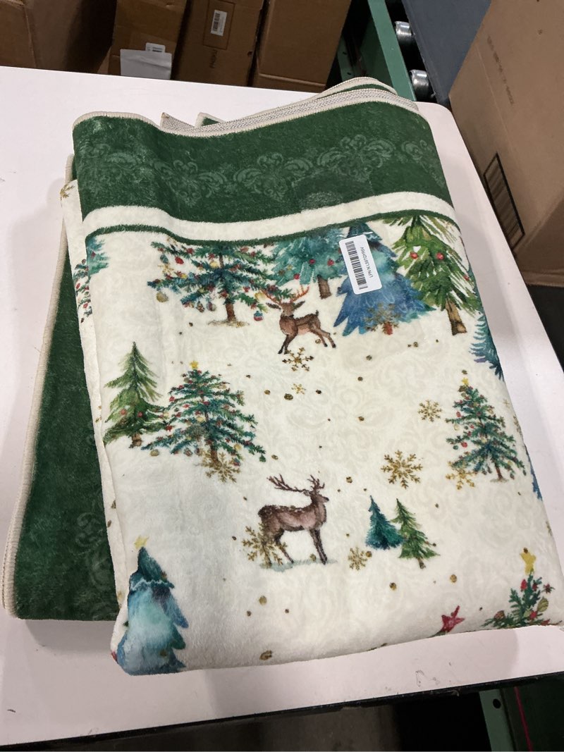 Condition photo showing Good Condition for Artoid Mode Green Pine Tree House Christmas Area Rug, Winter Home Decor Low-Profile Non-Slip Washabl 5x7 