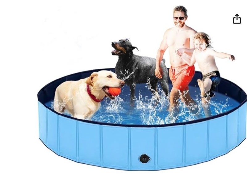 Foldable Dog Pool, Lexda Hard Plastic Shell Pet Swimming Pools for Large Dogs, Collapsible Plastic P