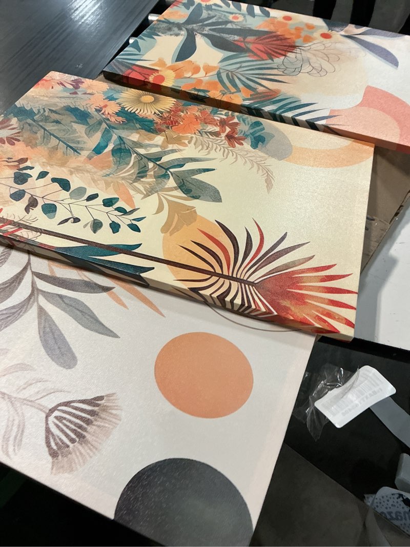 Condition photo showing As Is for lyphnx boho burnt orange botanical floral canvas wall art abstract terracotta jungle poster pictures set of 3 flower prints painting home decor for bathroom bedroom living room 12"x16" unframed 12"x16" poster orange