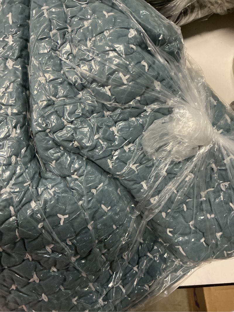 Condition photo showing Good Condition for quince organic cotton hand stitched quilted sham set, king, ocean