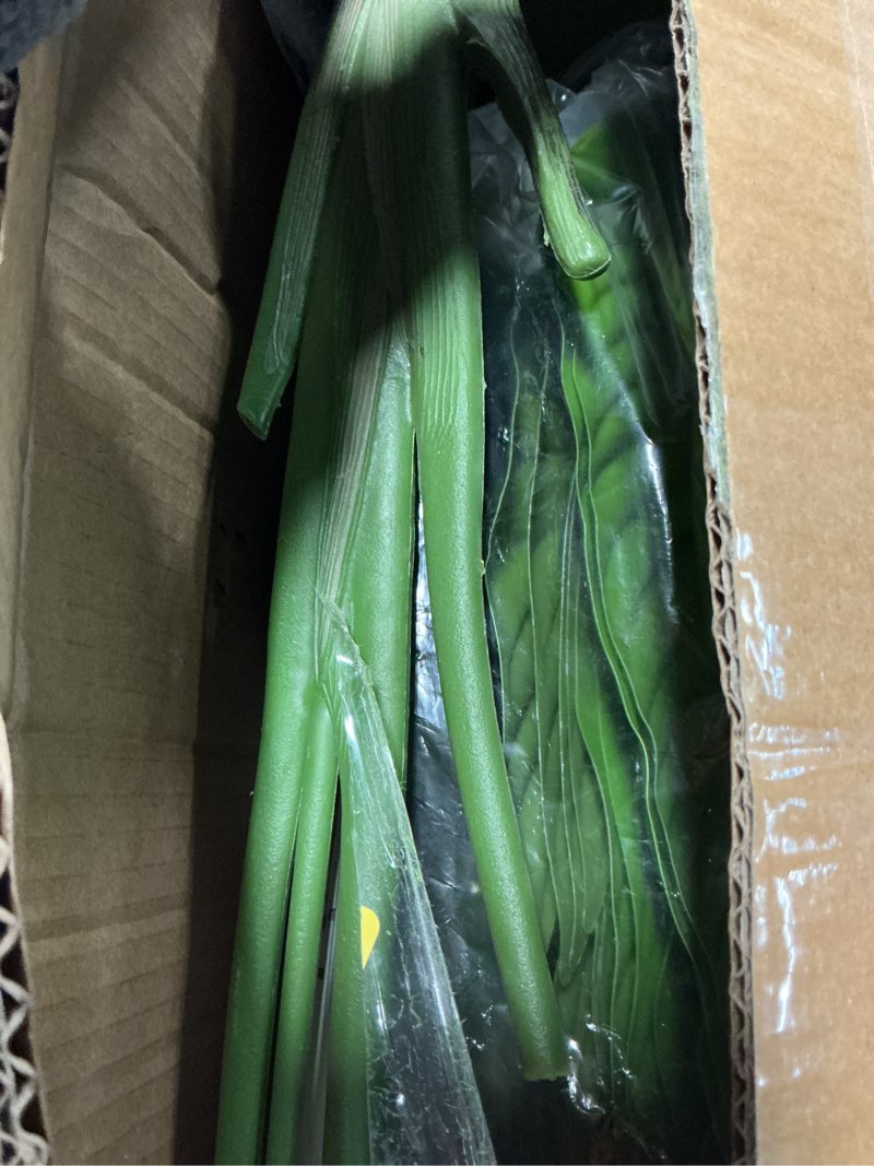 Condition photo showing New/Like New for Artificial Bird of Paradise Plant,Faux Palm Tree Potted Plant with Real Touch Leaves,Fake Trees for Home Living Room Office Indoor Outdoor Decor(4FT-1Pack) 4FT-1Pack Bird of Paradise