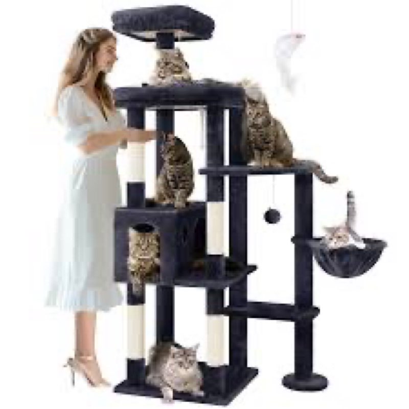 Globlazer Extra Large Platform Cat Tree, 65in Tall Sturdy Cat Tree for Indoor Cats Large Adult, Big 