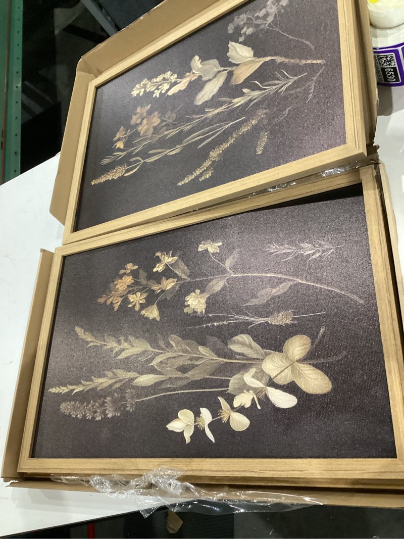 Condition photo showing Good Condition for framed dark botanical wall art set of 3, black moody floral wall decor paintings, dark academia decor, vintage flower artwork prints pictures for living room bedroom bathroom 12x16 inch dark flowers framed 16l" x 12w"