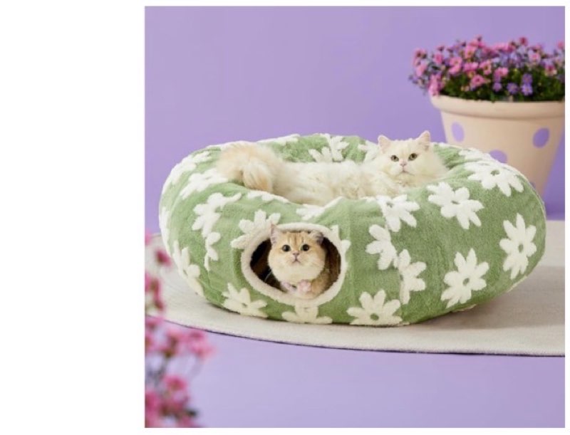 Supplies›Cats›Toys›Tunnels AED243.09 FREE delivery 1 - 4 November. Details Delivering to Dubai - Update location In Stock  Ships from outside the UAE. Learn more Quantity: Quantity:1   Add to Cart   Buy Now Ships from DesertcartAE Sold by DesertcartAE Payment Secure transaction Add to List Other sellers on Amazon New (2) from AED242.61   & FREE Shipping  LE SURE Cat Tunnel Bed for Indoor Cats - Cute Cat Donut Tunnel with Washable Circle Cushion, Round Pet Play Tunnel Toy for Kitten/Puppy/Rabbit,Green Touch the image to zoom in                      LE SURE Cat Tunnel Bed for Indoor Cats - Cute Cat Donut Tunnel with Washable Circle Cushion, Round Pet Play Tunnel Toy for Kitten/Puppy/Rabbit,Green