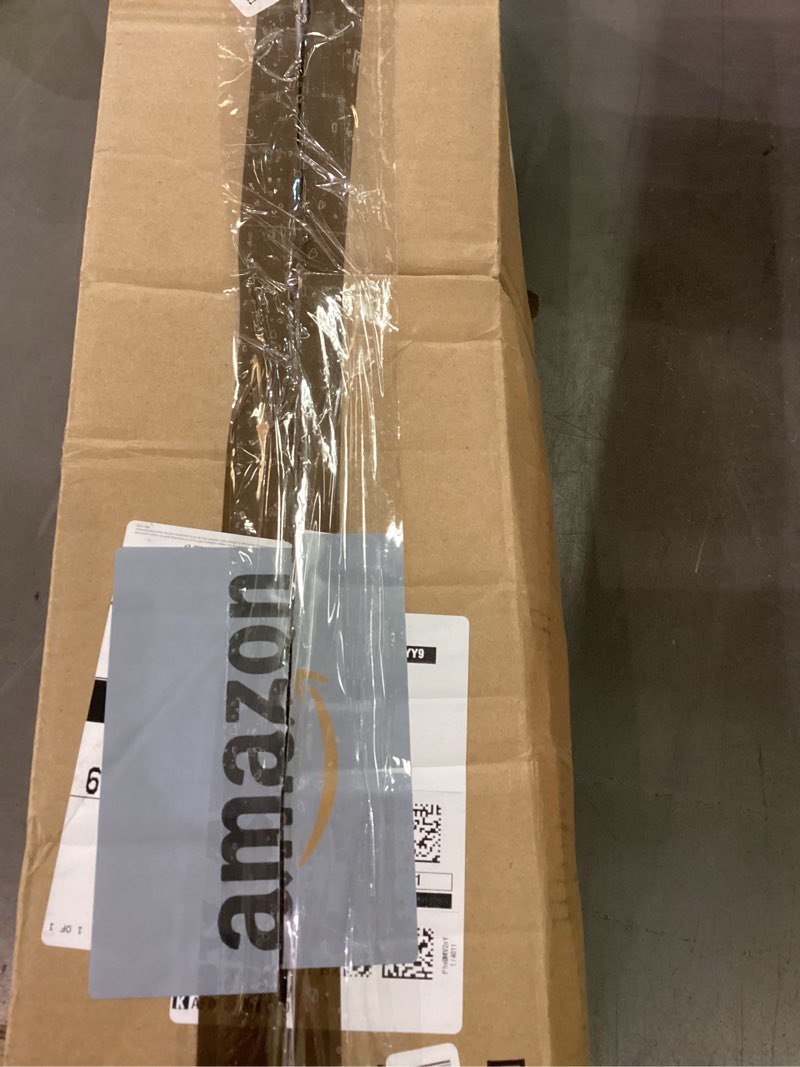 Condition photo showing As Is for Rug