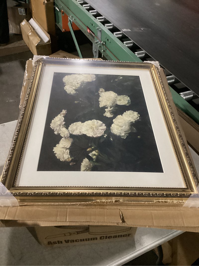 Condition photo showing New/Like New for ARPEOTCY Vintage Gold Framed Wall Art, 16x20 inch White Roses Picture Retro Paintings, Large Canvas Prints Artwork, Home Classical Floral Wall Decor for Bedroom Living Room Bathroom White Roses 20"L x 16"W