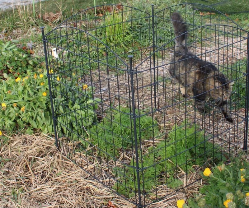 4 Panel Critter Fence