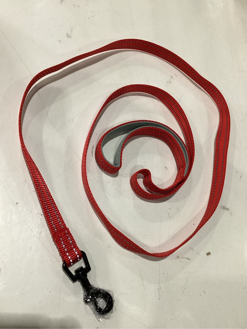 Dog leash for small dog 