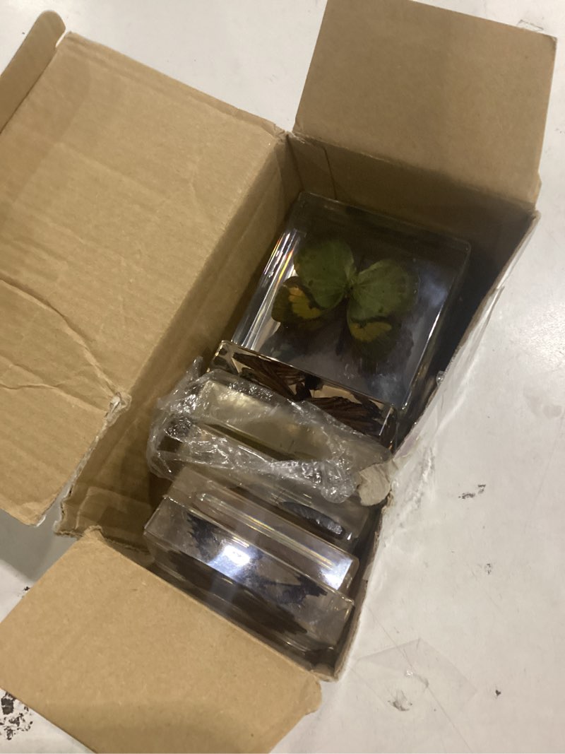 Condition photo showing Good Condition for 9 pieces real butterfly specimens set resin butterfly paperweight square framed butterfly taxidermy butterfly specimen collection display for home office school science education toys 3 x 3 x 0.6 inch
