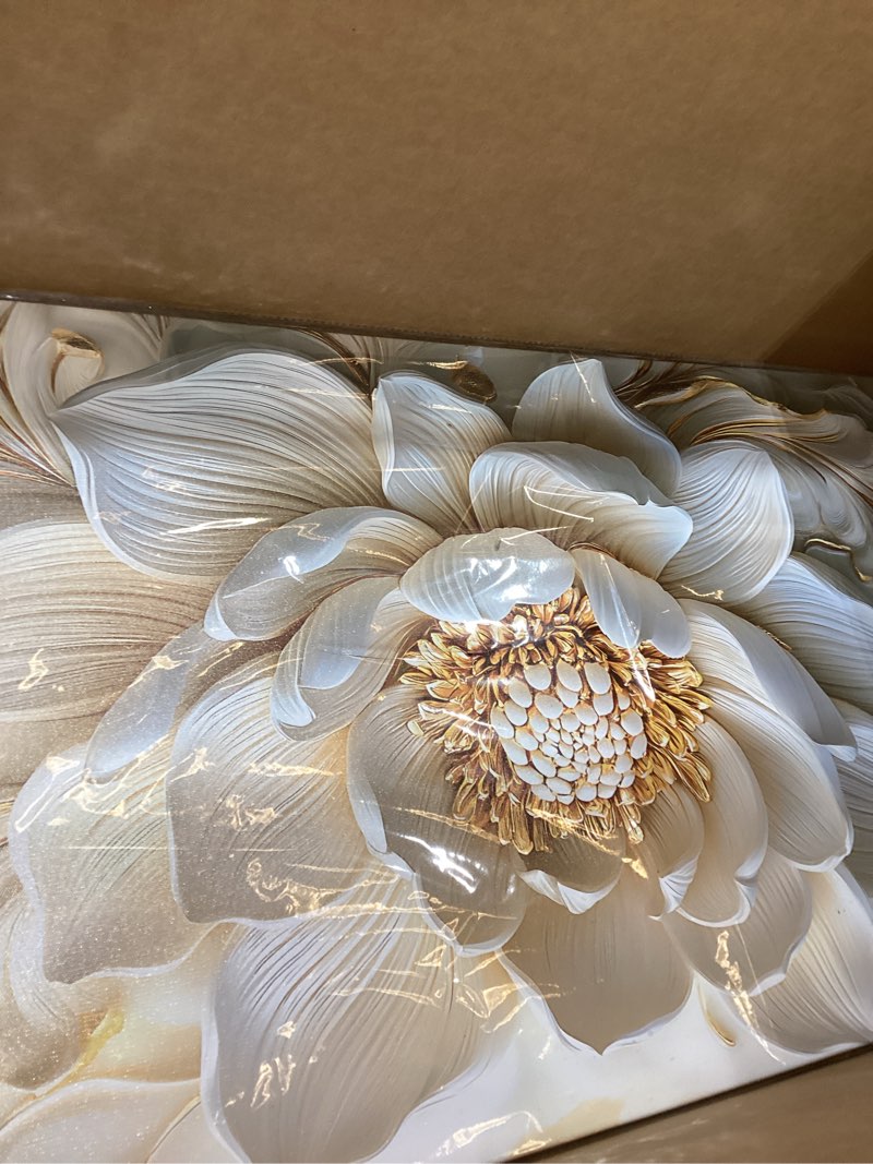 Condition photo showing New/Like New for SSNEEKNDG White Floral Wall Art for Living Room Gold Flower Picture Large Botanical Artwork for Bedroom Office Canvas Prints Ready to Hang 20"x40" 20"L x 40"W gold