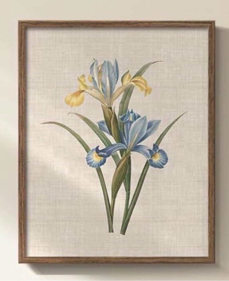 Framed botanical wall art, lilly, 16” x 24” 