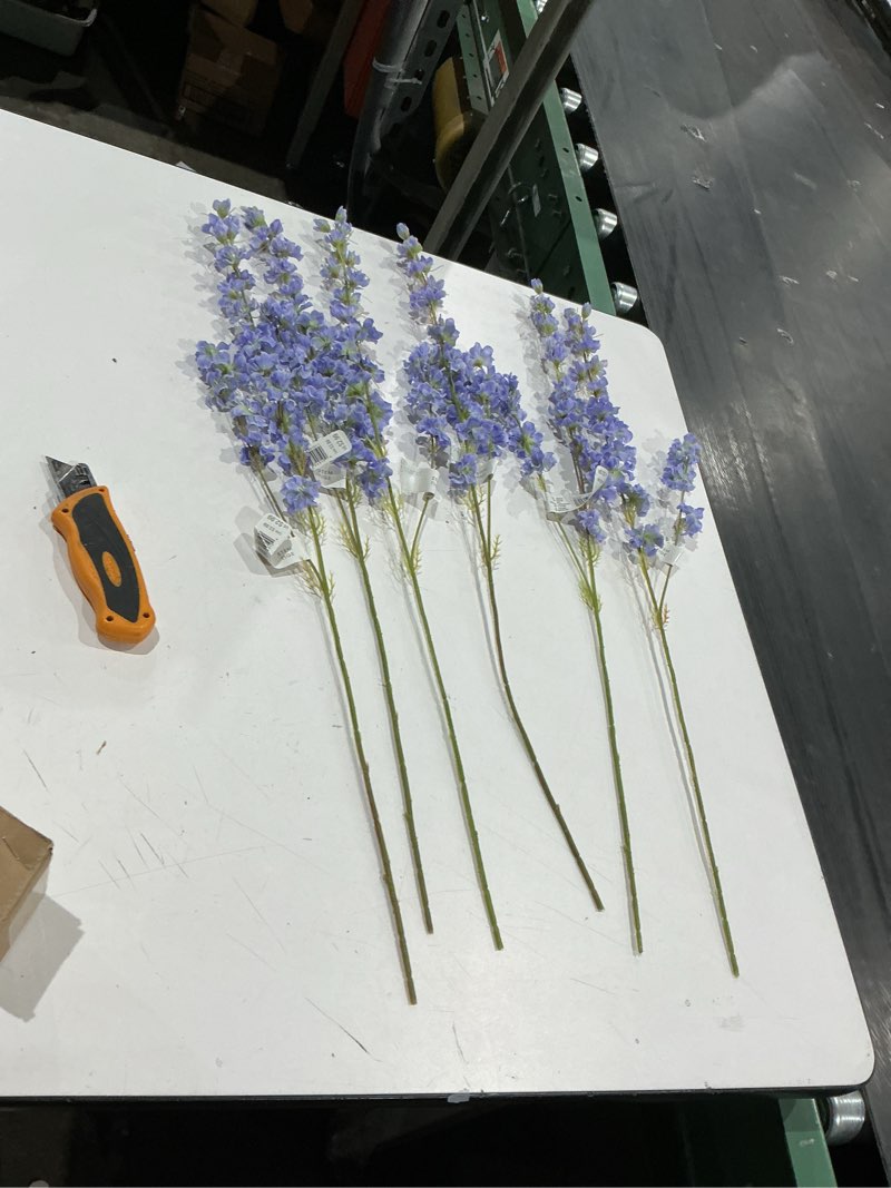 Condition photo showing Good Condition for delphinum spray