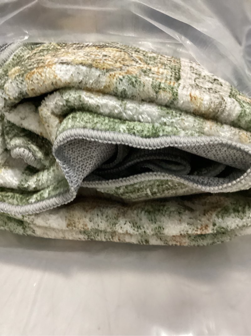 Condition photo showing Good Condition for Washable 8x10 Rugs for Living Room, Light Green Oriental Rugs for Bedroom Dining Room Under Kitchen Table, Stain Resistant Non-Slip Pastel Large Washable (8x10 Beige Green) Garden Green 8' x 10' (Rectangular)