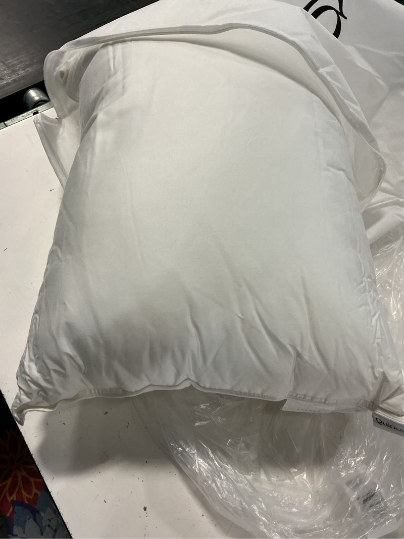 Condition photo showing Good Condition for premium down alternative pillow, standard, firm