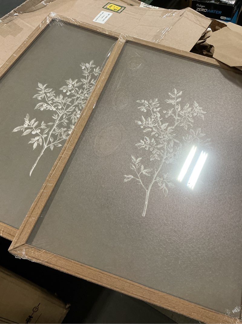 Condition photo showing Good Condition for Framed Vintage Botanical Canvas Wall Art Botanical Illustration Pictures Wall Decor Farmhouse Sketch Plant Posters Prints Artwork for Living Room Bedroom Farmhouse Home Decoration 12''x16''Framed Framed 12L" x 16W"