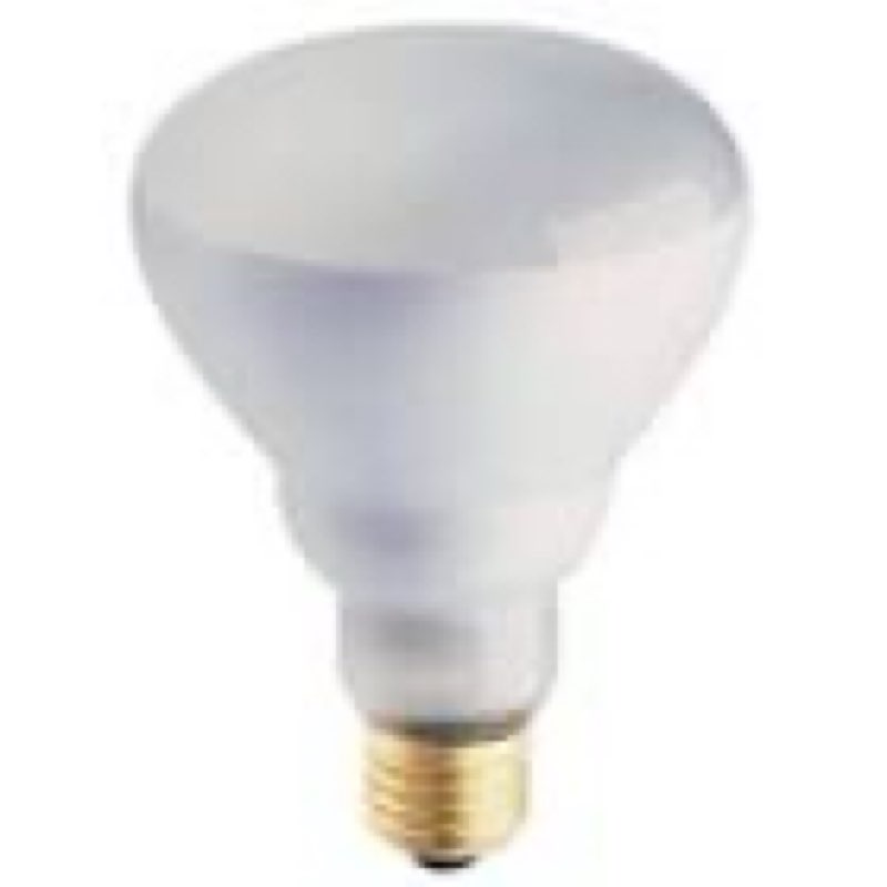 philips 248765 soft white 65-watt br30 indoor flood light bulb, 12-pack
