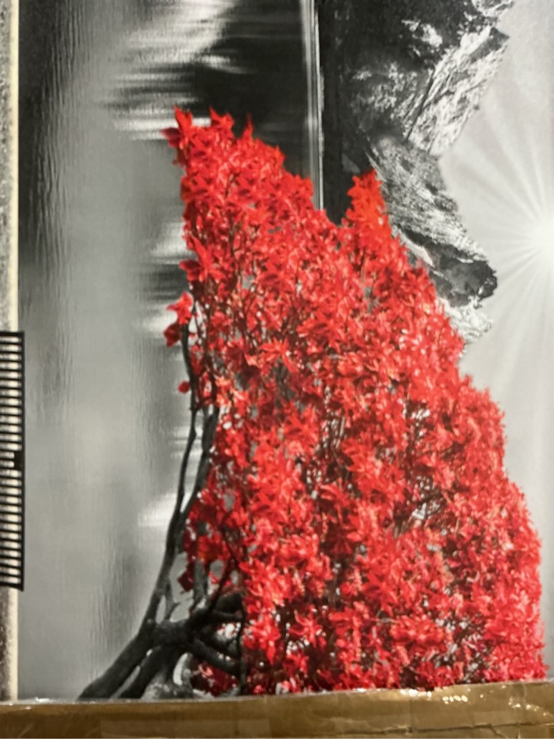 Condition photo showing Good Condition for Framed Black and White Red Tree Wall Art Canvas Print Picture Large Red Tree Landscape Modern Artwork for Living Room Bedroom Office Home Wall Decor With 24X48inch 48"L x 24"W Red-F