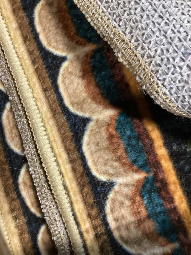Condition photo showing As Is for vintage butterfly area rug 4x6 for living room botanical butterflies insect rugs machine washable non slip low pile indoor floor carpet for bedroom dining room laundry kitchen,black 4'x6' butterfly