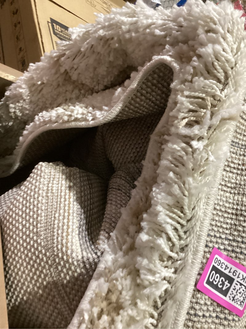 Condition photo showing As Is for Washable Area Rug Large Soft Rugs for Living Room Vintage Beige Carpet Rugs for Bedroom Dining Room Non-Slip Stain Resistant Under Table Rug Beige Rectangular)
