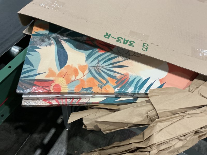 Condition photo showing New/Like New for 3 pcs orange boho plants canvas wall art burnt orange botanical wall decor pictures abstract floral poster prints paintings for bedroom office dining kitchen home decoration bohemian plants 16x24in-canvas