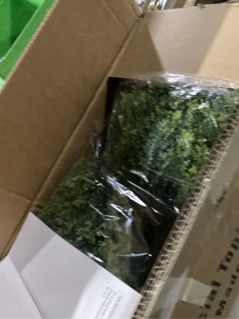 Condition photo showing New/Like New for 2ft artificial cedar topiary ball trees outdoor, 24" uv resistant faux potted plants outside, realistic fake greenery evergreen pine cypress bushes shrubs for front porch planter indoor decor set of 2 classic evergreen cedar topiary - 24" 2 ft
