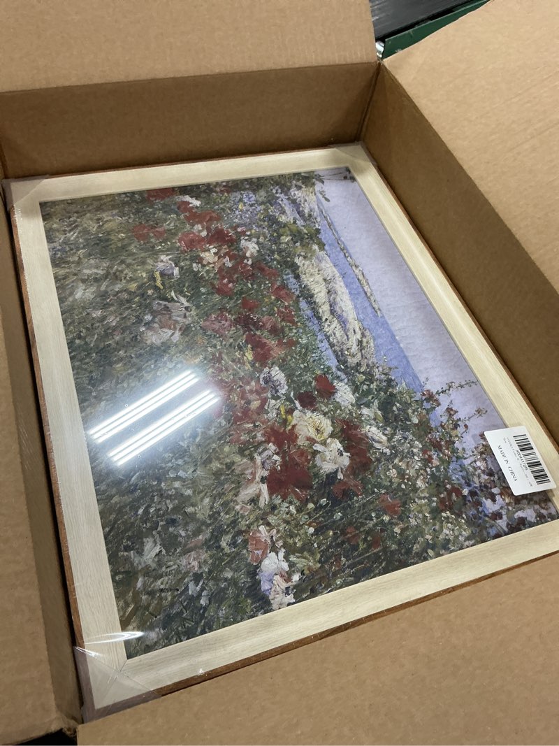 Condition photo showing Good Condition for VIYYIEA Framed Wall Art for Living Room, Garden Canvas Prints, Vintage Home Decor, Flowers Painting Picture, Bathroom Wall Decor Gifts for Friends or Family - 20L x 16W Flowers-?Celia's Garden? 20"L x 16"W