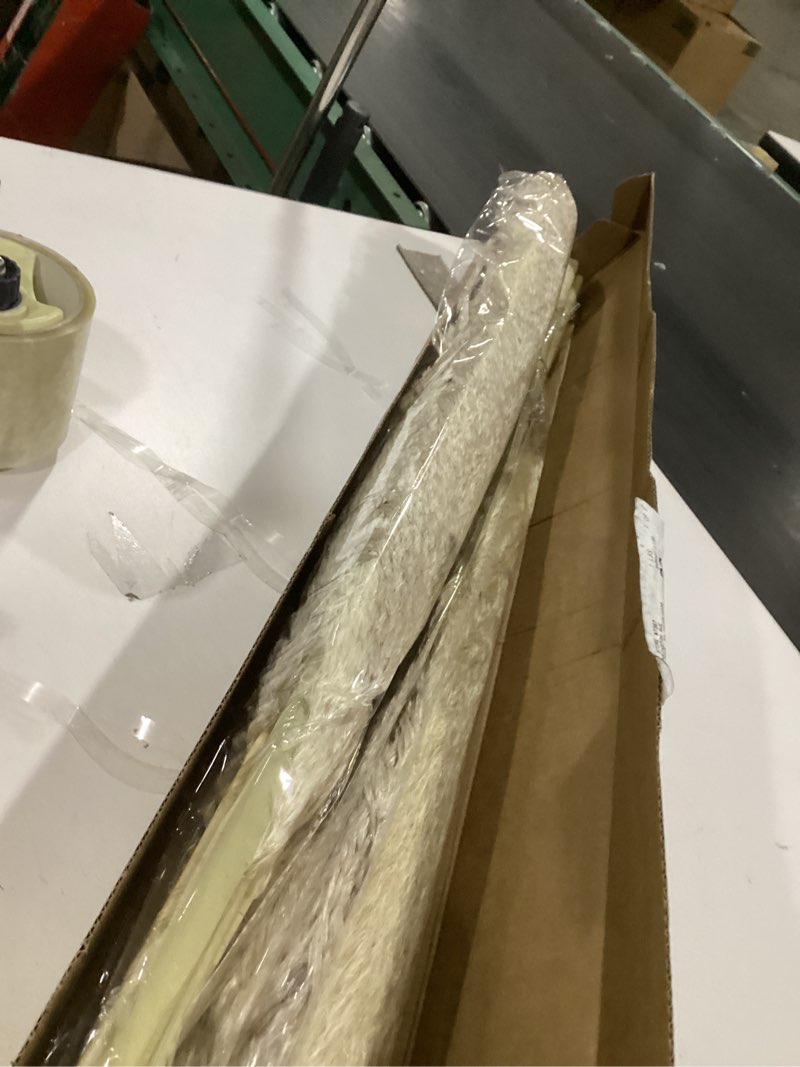 Condition photo showing New/Like New for pampas grass decor tall, 40" inch 10 stems natural pompas grass, dried pampas grass for wedding, birthday party, farmhouse, boho home decor, baby shower decorations